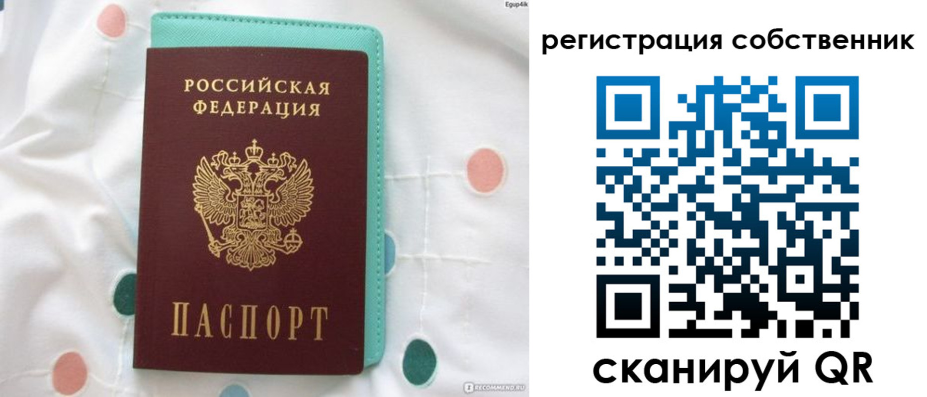 прописка для школы в Рязанской области